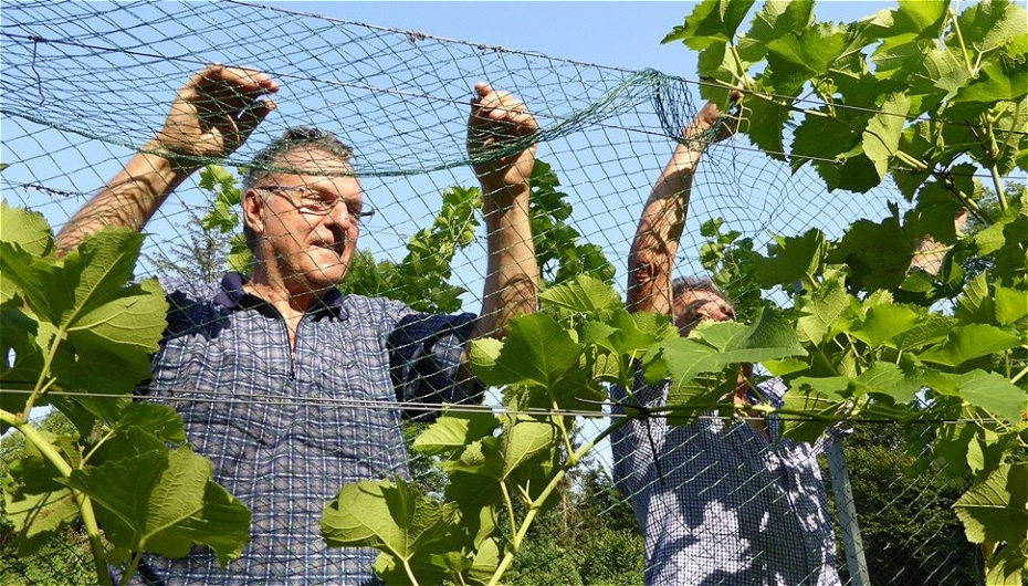 Die Netze werden eingehängt
