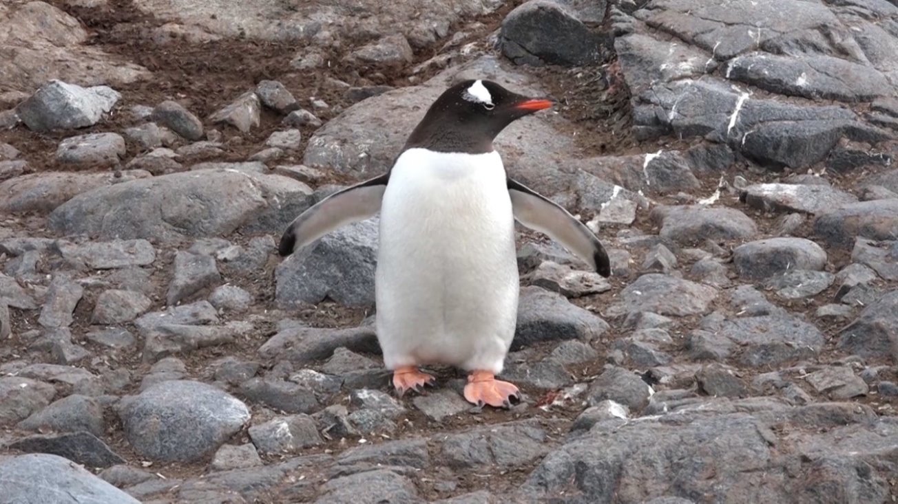 Auf Wiedersehen, es hat mich sehr gefreut !