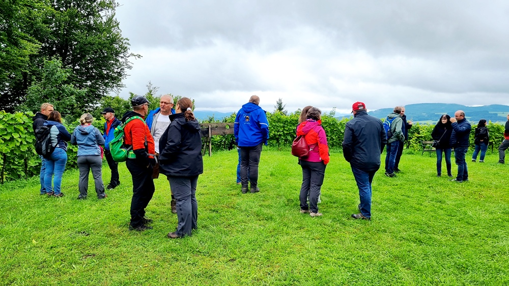 Auf der Burgstall der ehemaligen Friedburg