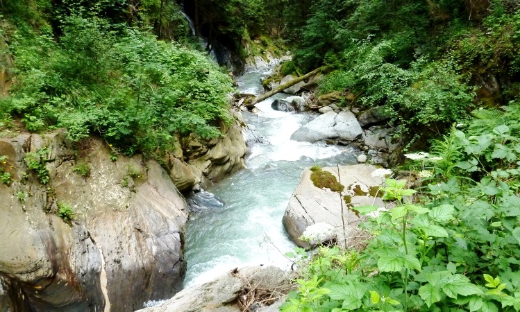 In der Mündungsschlucht des Matschertales
Der Saldurbach hat sich tief ins Gestein eingegraben !