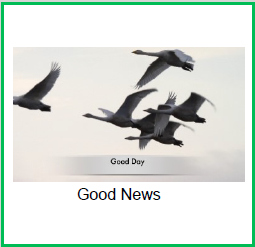 https://0501.nccdn.net/4_2/000/000/060/85f/good-day-good-news.png