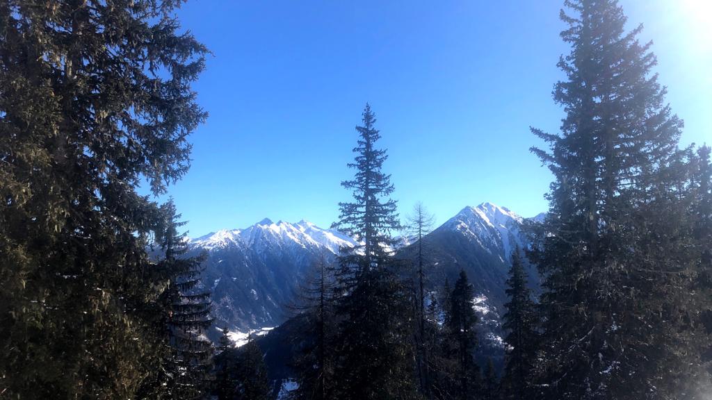 14. Februar 2021 Kleiner Hochwurzen