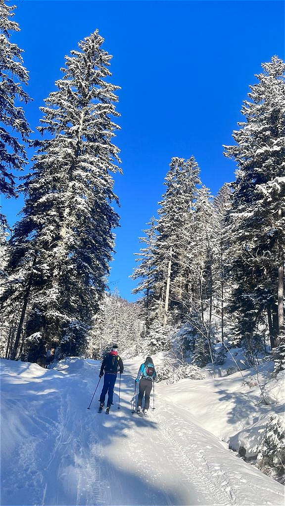 20. Jänner 2024 - Südwiener Hütte