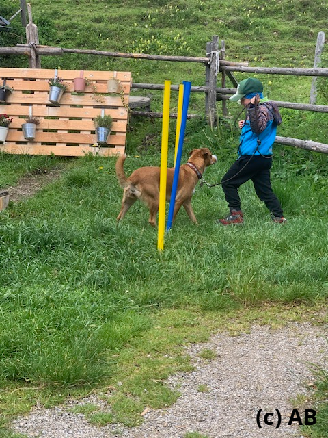 Hindernis 2 - Slalom