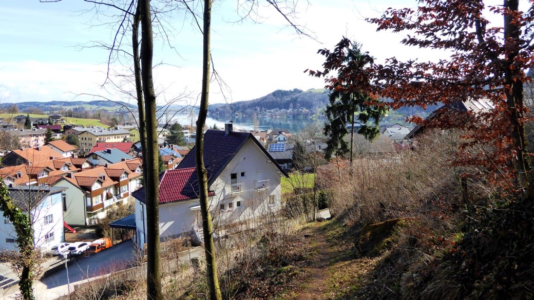 Blick zurück auf den Mattsee