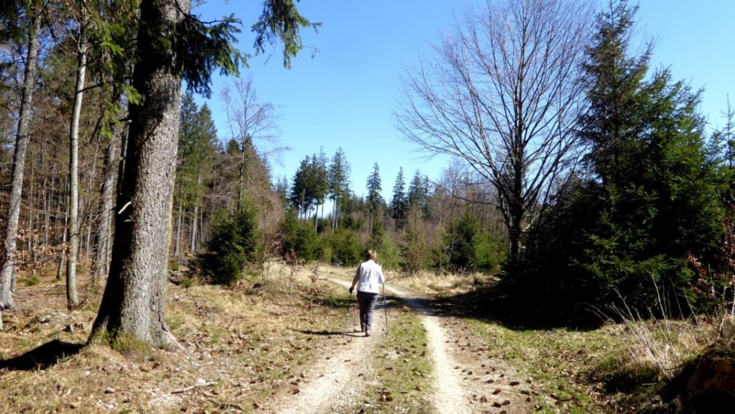 Oberer Wienerweg (Weg der Wenden)