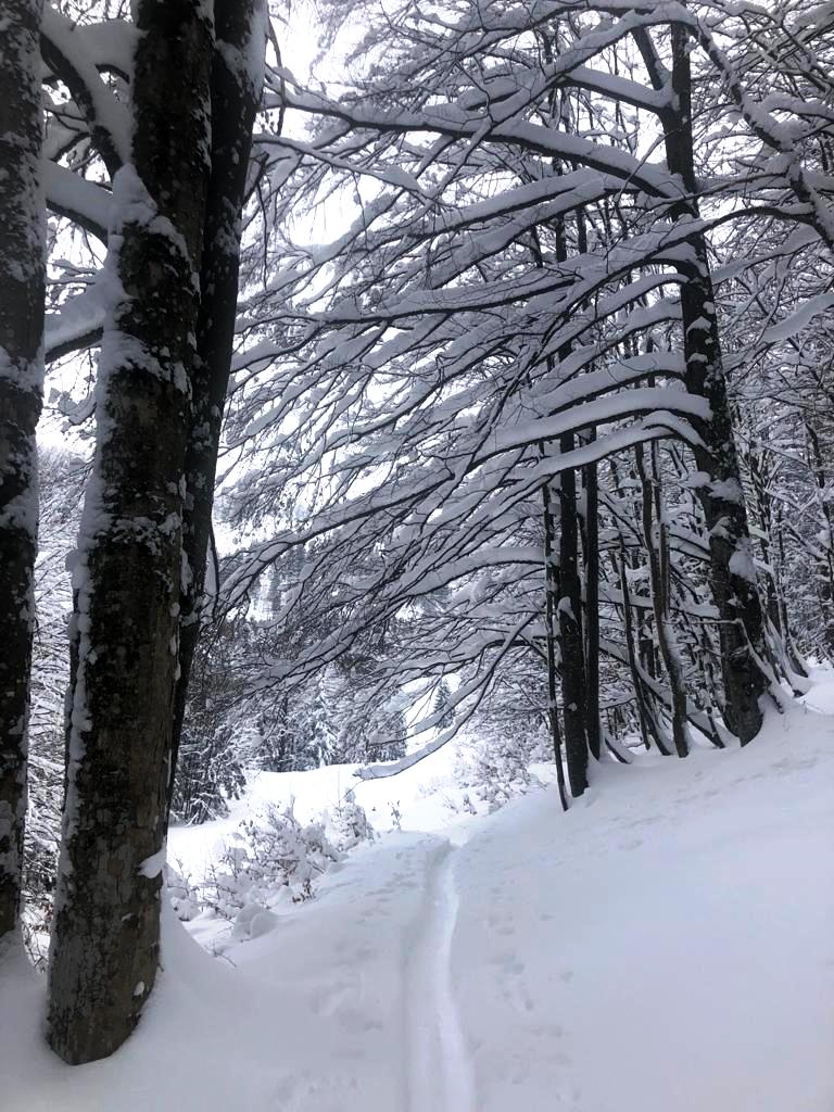 17. März 2021 Winterwonderland Zwölferhorn