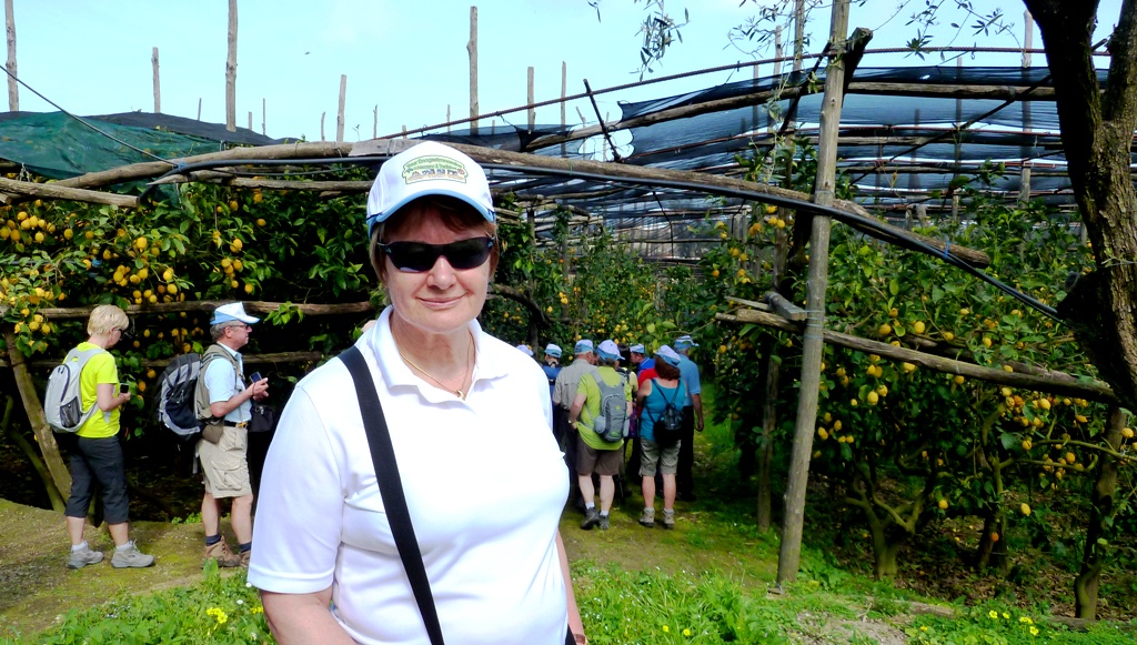 Führung durch die Zitronenhaine