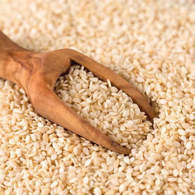 Sesame Seeds