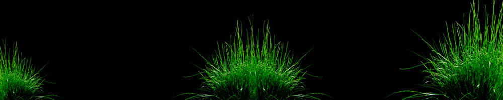 Green_A_201