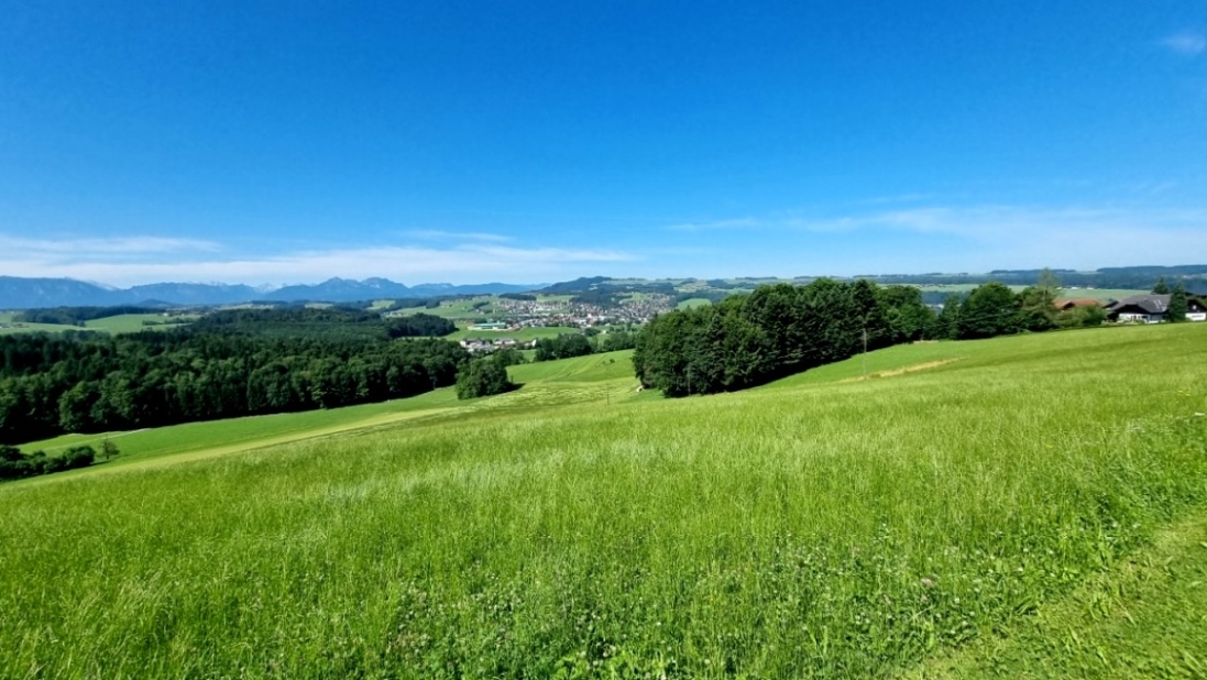 In Bodenstätt - Blick auf Obertrum