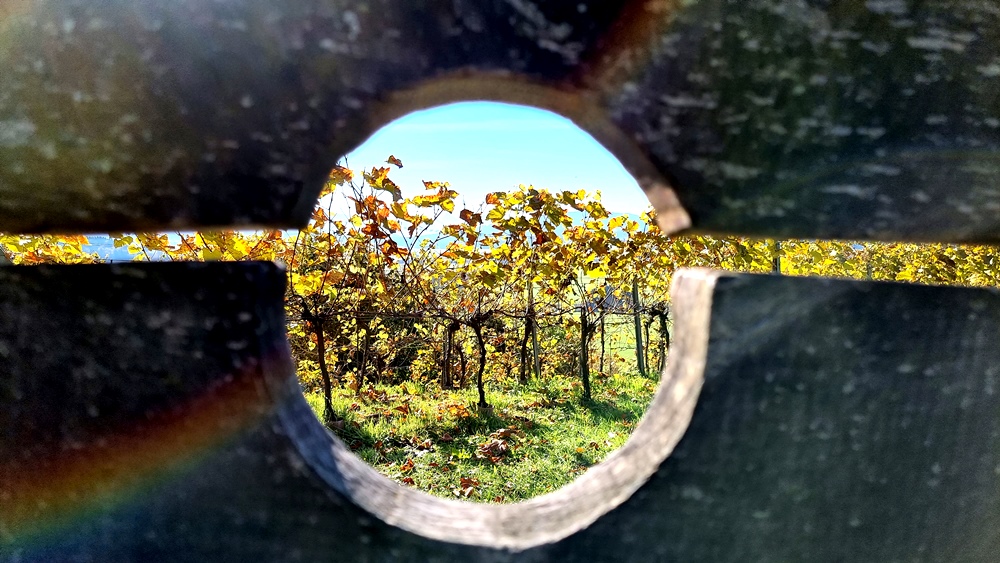 Blick durch die Schandgeige