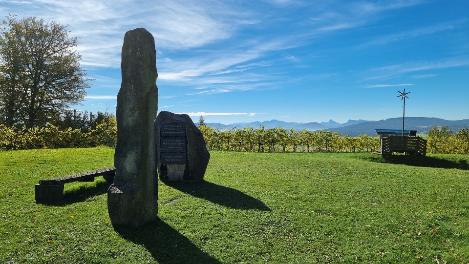 17. Oktober 2024 Jahresabschluss - "Stelzenessen" vom Weinpaten Josef Feldbacher.