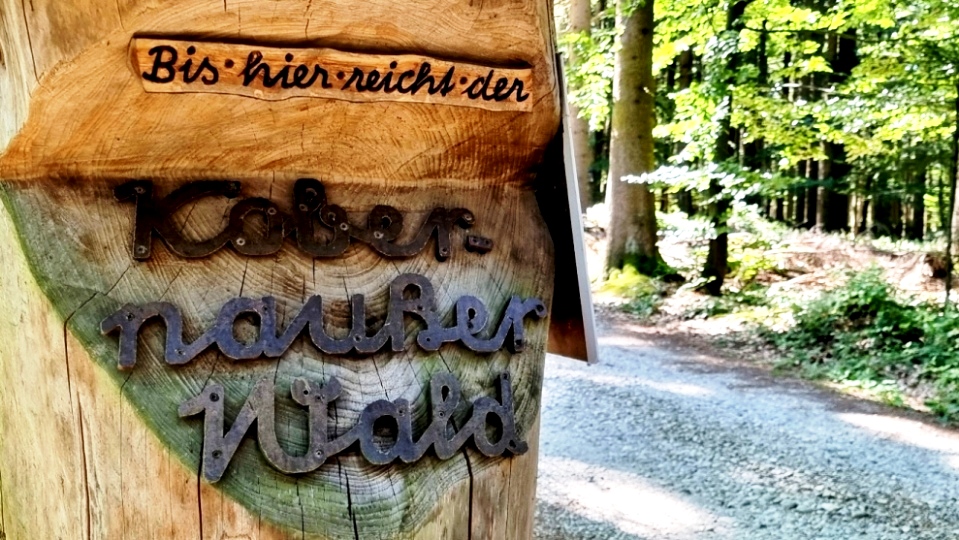 Höhe Redltal