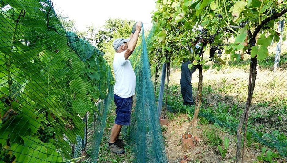 Eine gewisse Körpergröße ist von Vorteil !