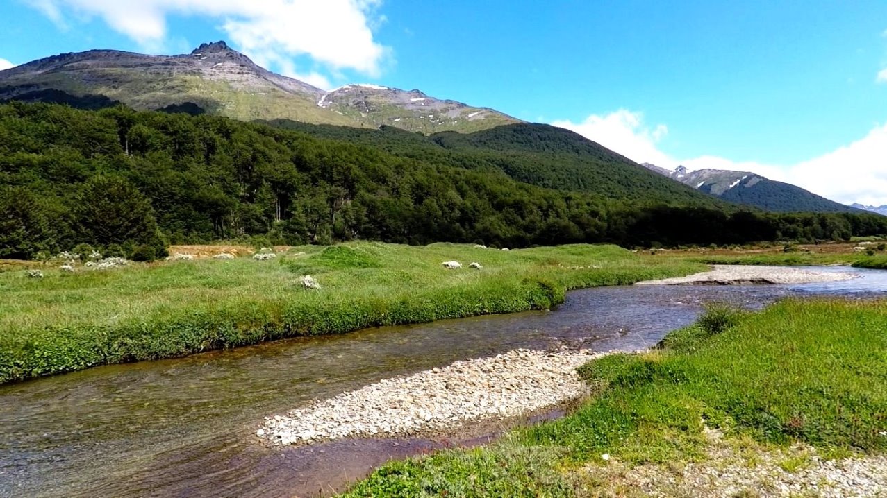 Spaziergang nach dem Mittagessen