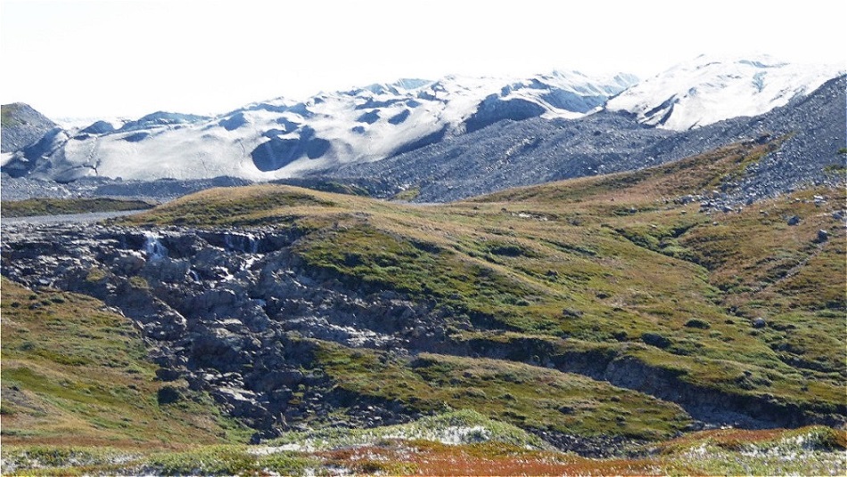 Eis und karge Vegetation !