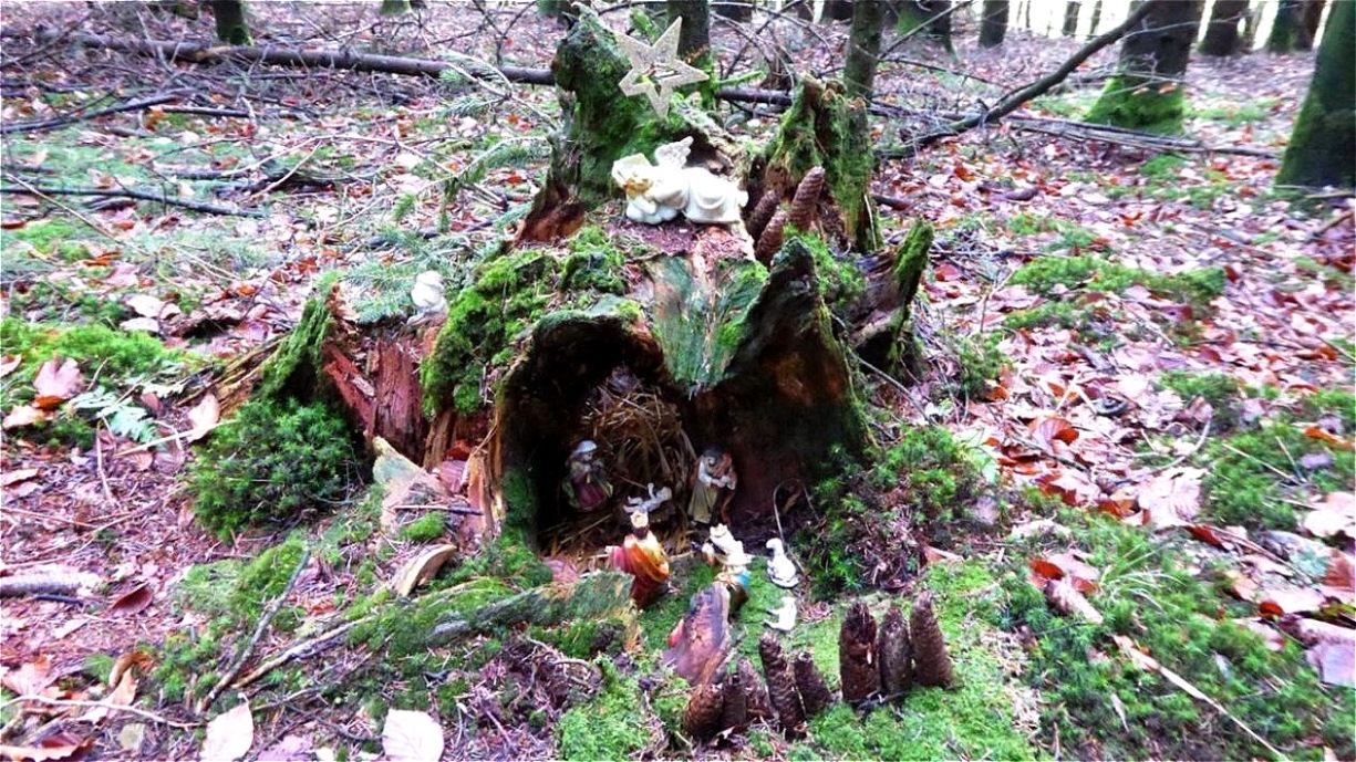 Die erste von vielen Krippen entlang des Bibelweges