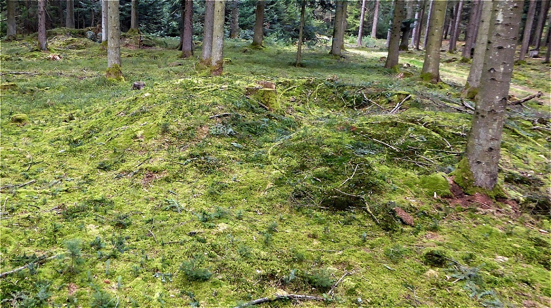 Der geöffnete Grabhügel