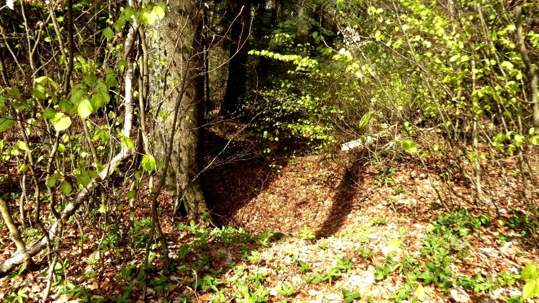 Grabungsspuren auf dem Grabhügel