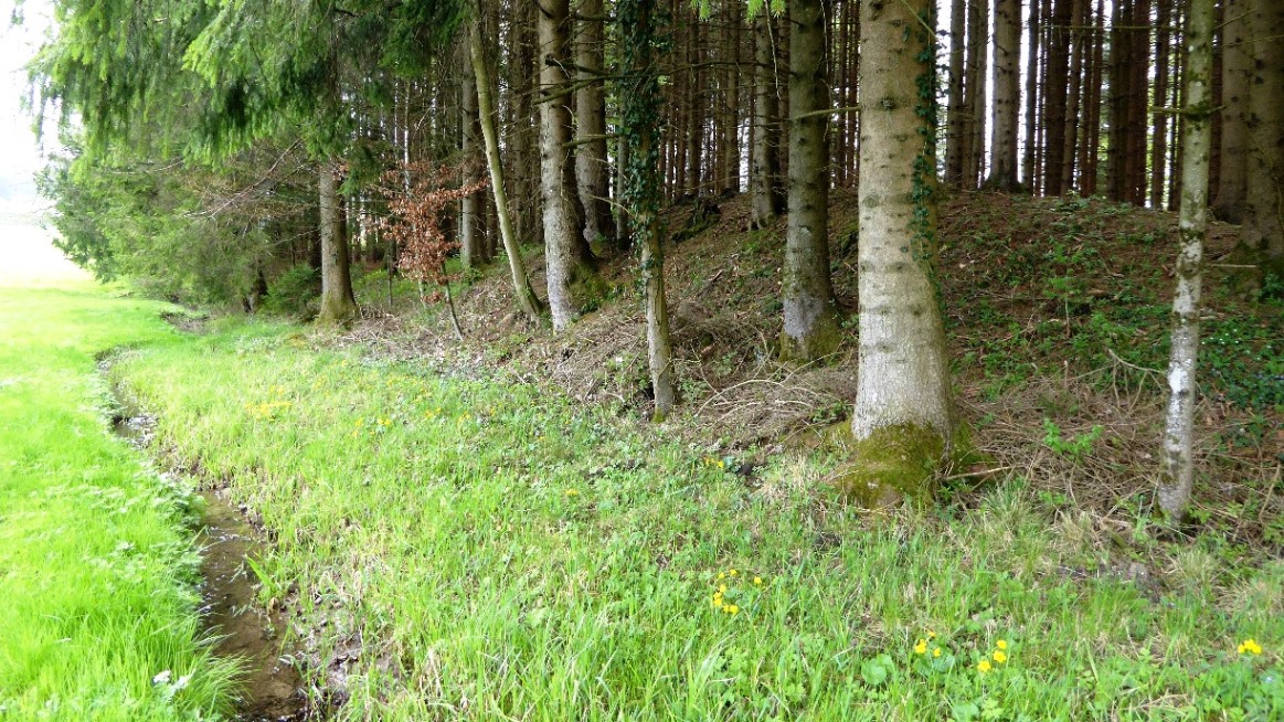 Blick von außen auf den östlichen Erdwall