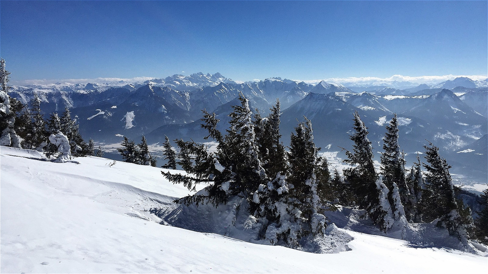 Schafberg 04.03.2018