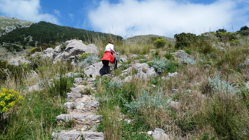 Steiler Aufstieg am Beginn des Rückweges