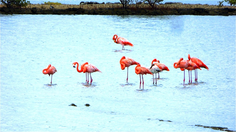 Morgenputz und Frühstück