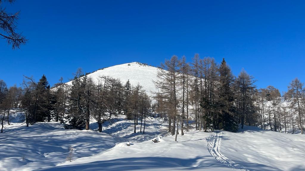 18. Dezember 2022 - Tour Pitschenberg und Labenberg