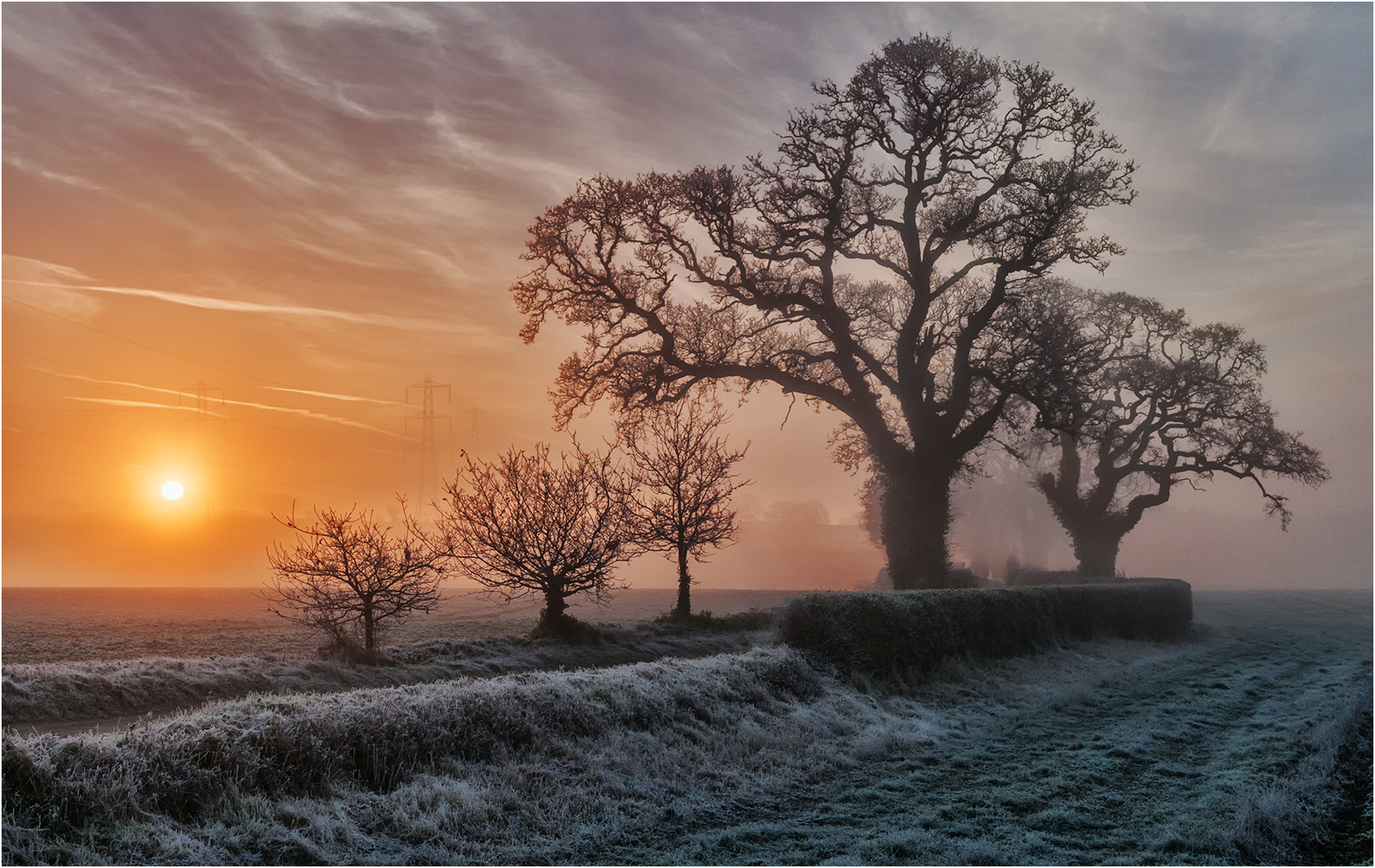 2nd Place: Morning Glory (John White)