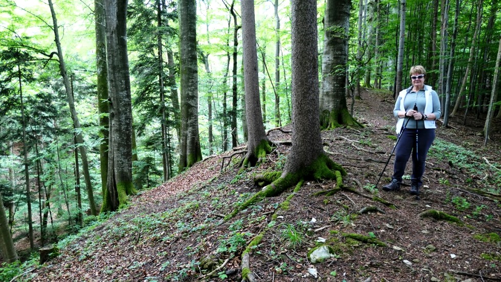 Am Rand zum Mühlbachgraben