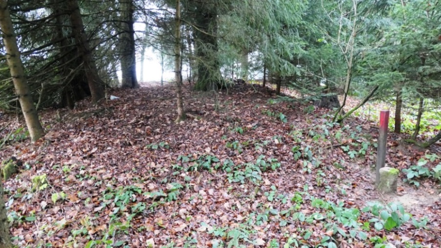Grabhügel am südwestlichen Waldrand