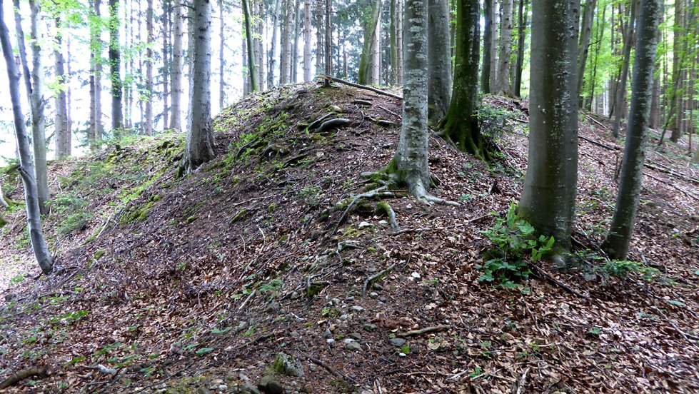 Tumuli im südlichen Teil des Waldes