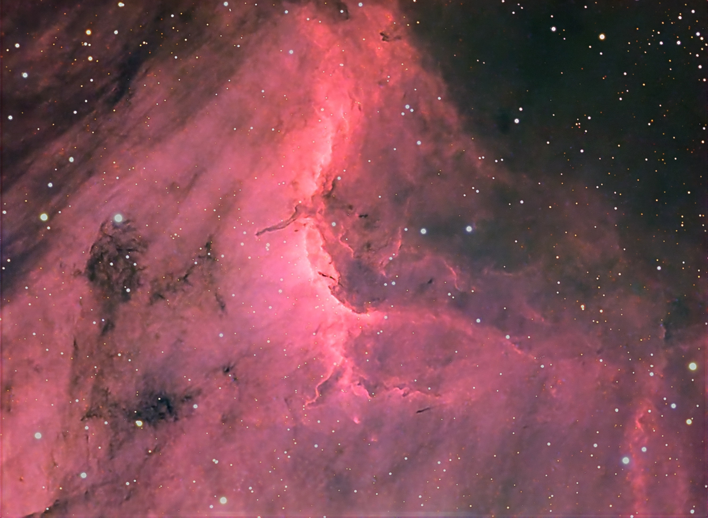 IC 5070, Pelikan Nebula in Cygnus
18./20./21.09.2008, 4" TMB 
SXV-H9, Ha:R:G:B, 240:60:60:60 min.