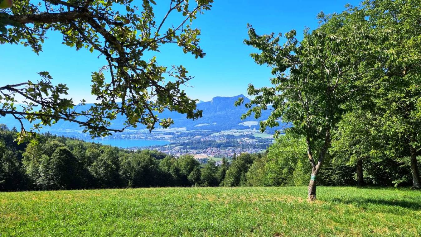 Über Mondsee