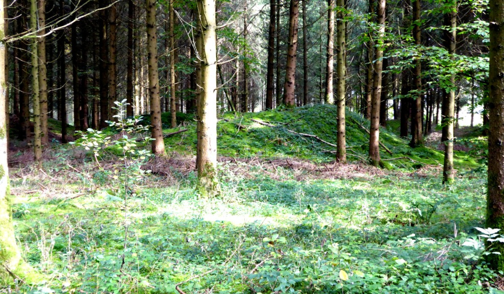Grabhügel 1