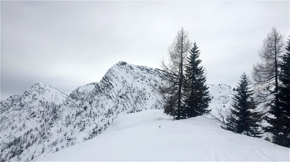 Goiserer Hütte 02.03.2018