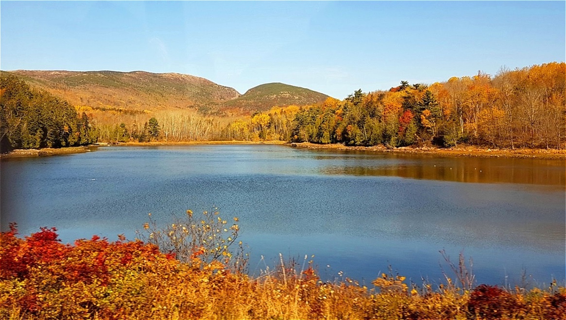 An einem der zahlreichen Pools