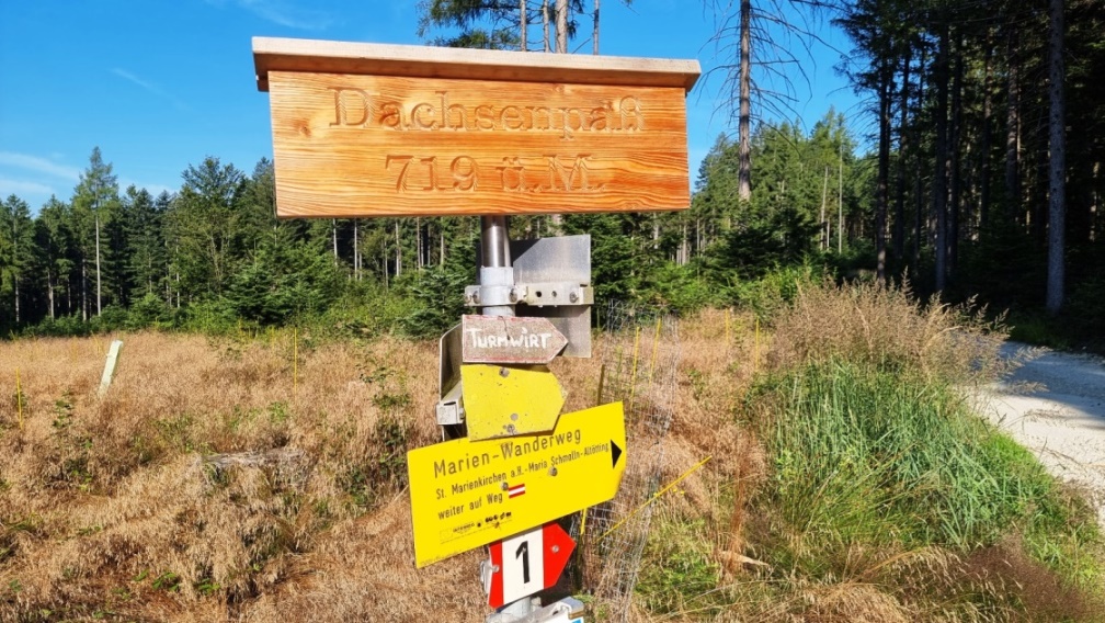 Durch den Kobernaußerwald