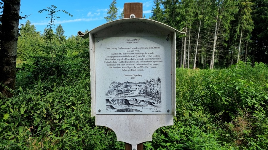 Gräberfeld bei Gänsfuß