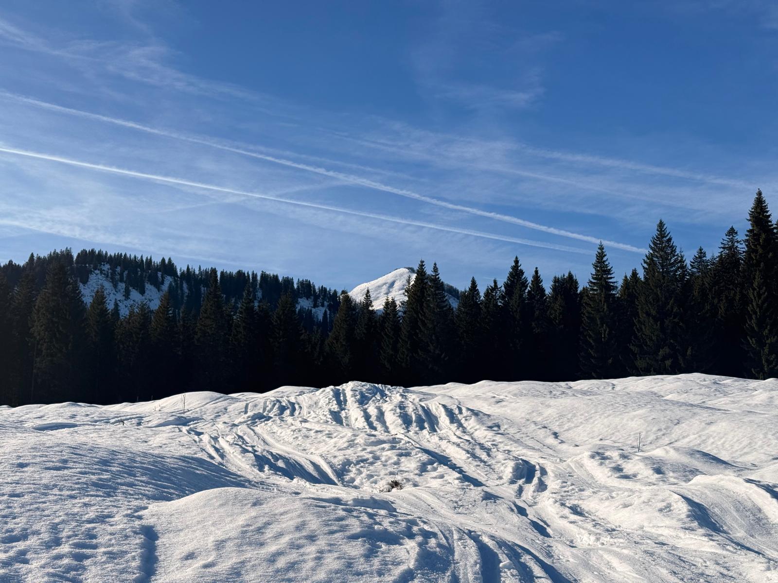 16. Jänner 2026 - Postalm