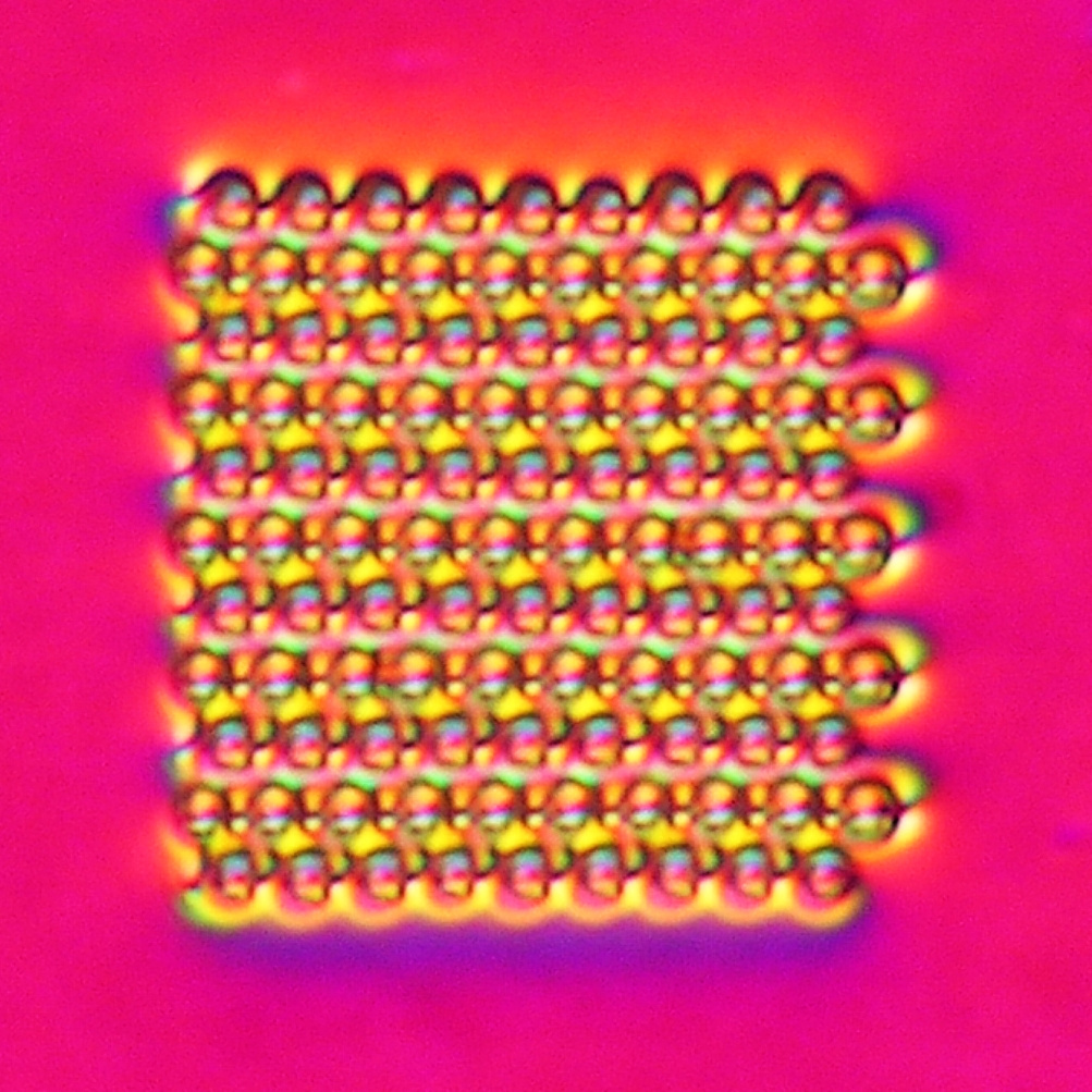 2D dipolar nematic colloidal crystal