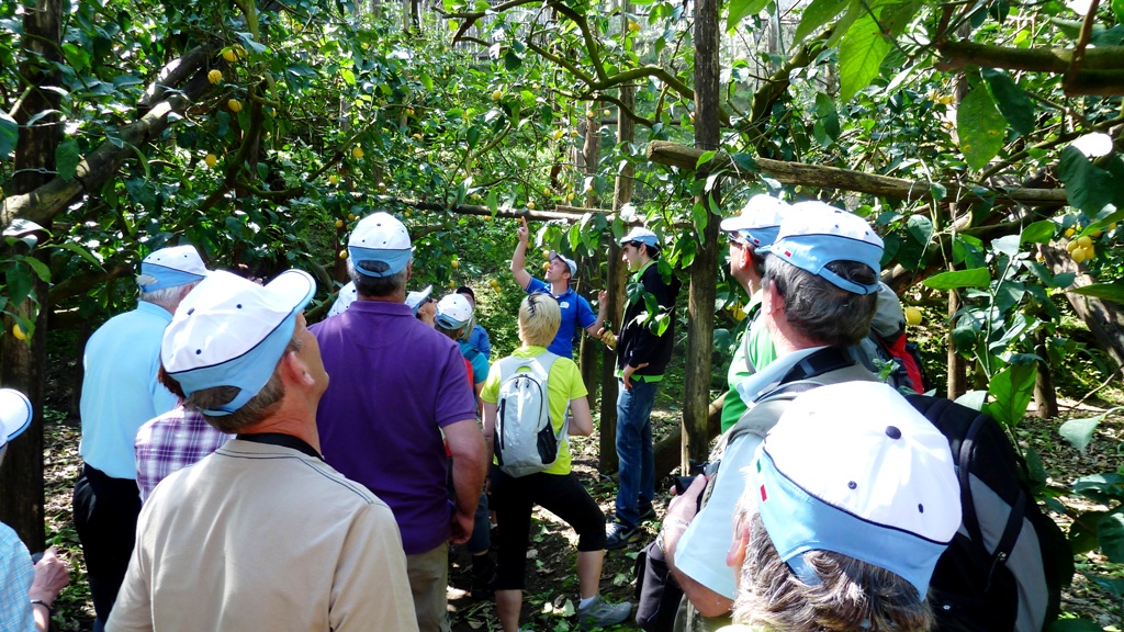 Wanderführer Sandro erklärt und beantwortet Fragen