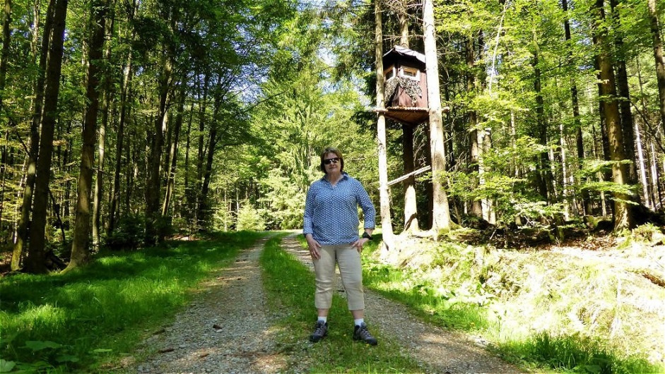 Unterwegs auf schattigen Wegen