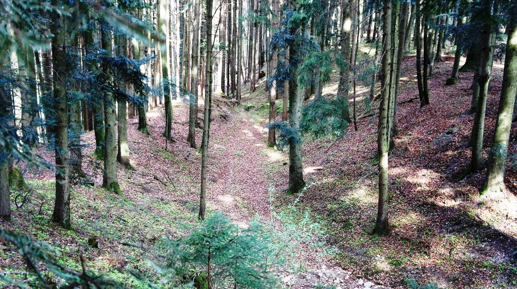 Westseite - Doppelwall mit Graben