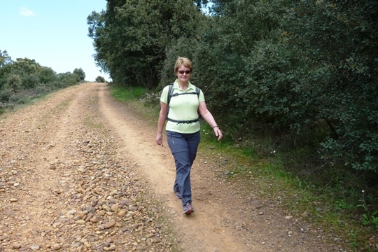 Nach Astorga kann es nicht mehr weit sein