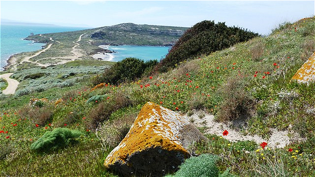 Blick vom Fuße des Wehrturms nach Süden auf die Landzunge des Capo San Marco