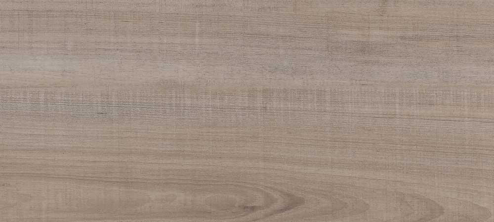 Citrino EC4037 - Doga 178,1 x 1244,6 mm