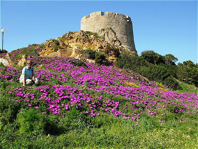 Blumenpracht am Fuße des Wachturmes
