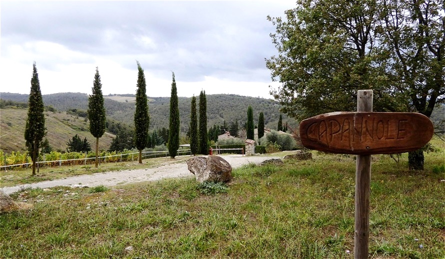 Einladung zum Urlaub auf dem Bauernhof